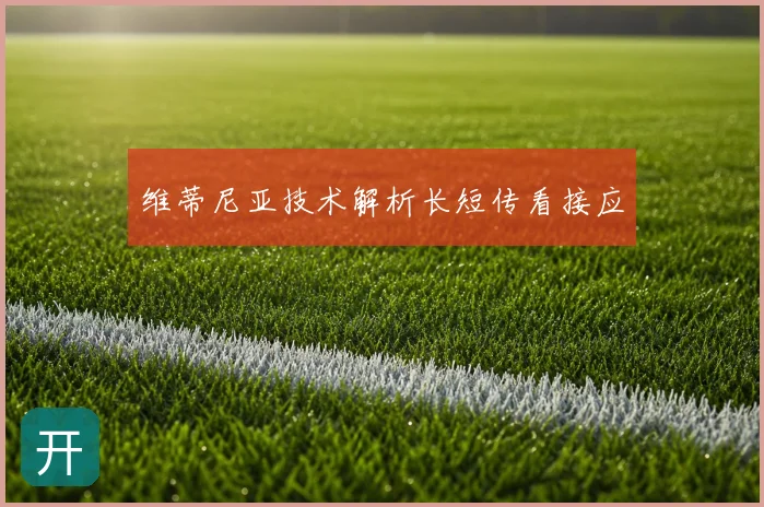 维蒂尼亚技术解析长短传看接应