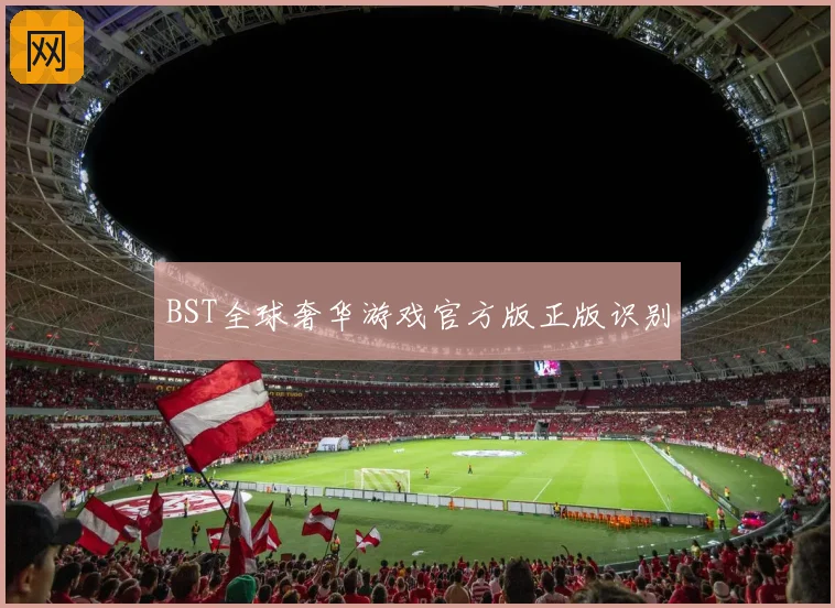 BST全球奢华游戏官方版正版识别
